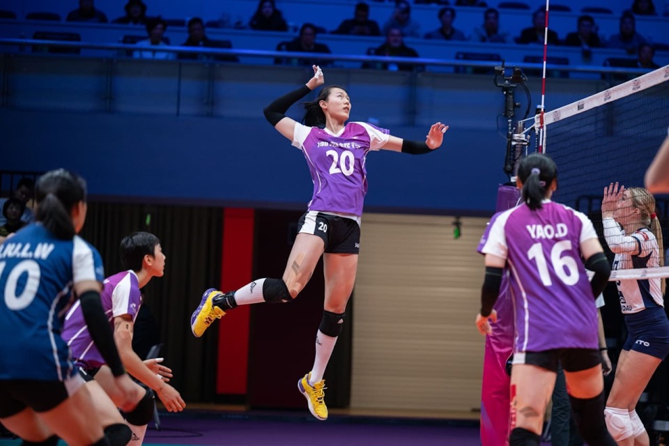 李盈莹的状, Etc, 康的李盈莹 李盈莹的状, Etc, 康的李盈莹