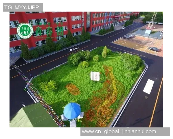 乌兰察布市丰镇市太极拳交流活动满意举行